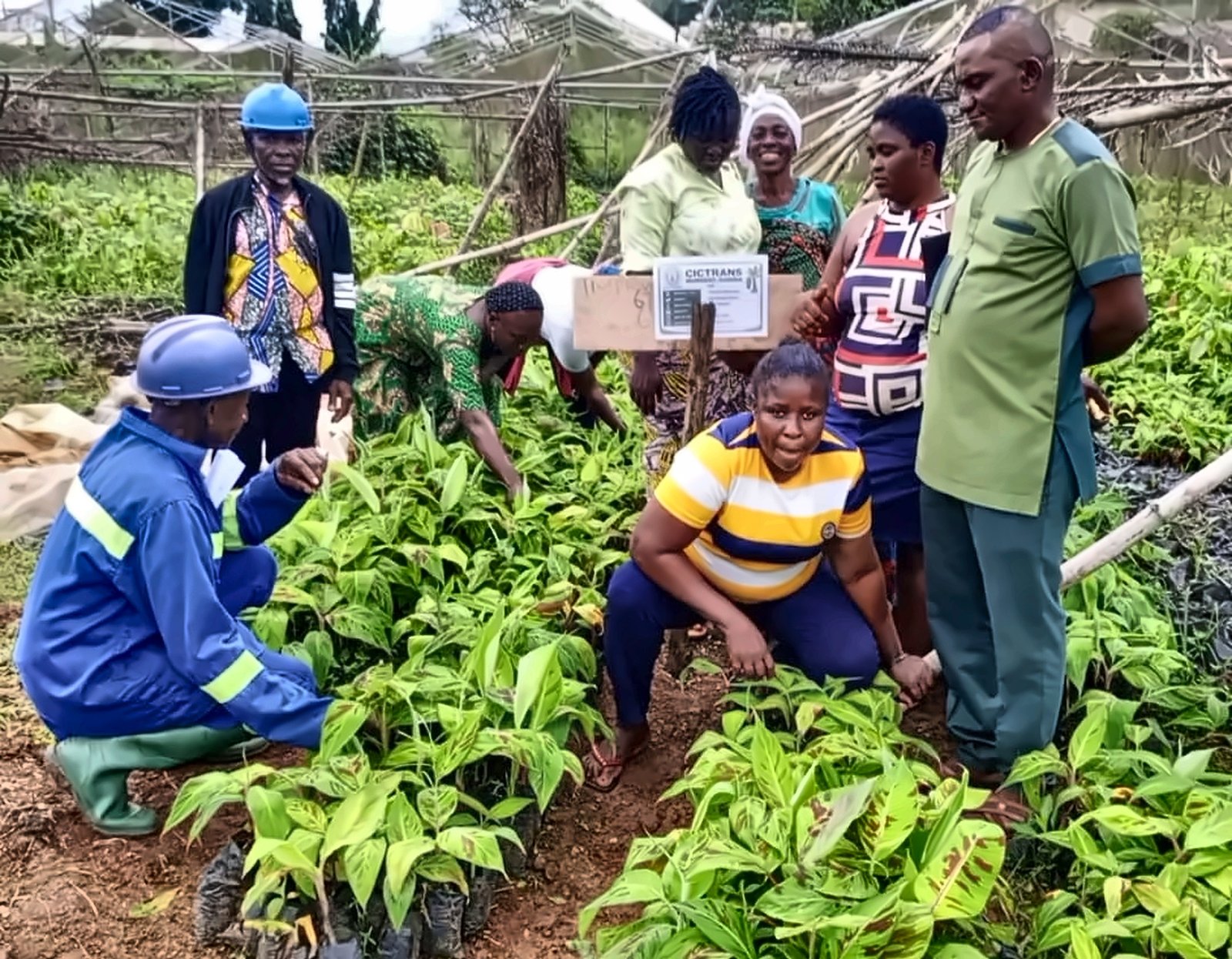 CICTRANS inclusive rural development and community engagement